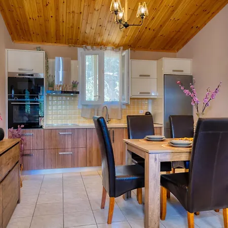 Artemis Prasoudi * Chalikounas