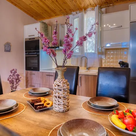 Artemis Prasoudi Сasa de vacaciones Halikounas