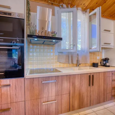 Artemis Prasoudi Halikounas